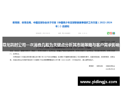 尊龙凯时公司一次消费几粒为关键点分析其市场策略与客户需求影响